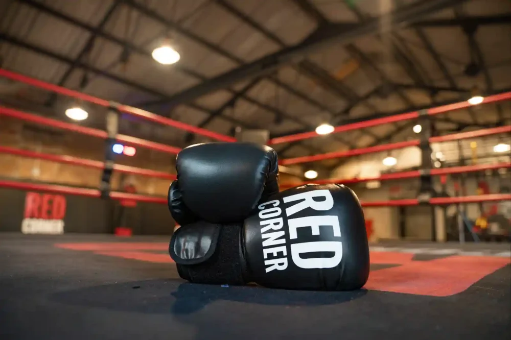 <br />
<b>Notice</b>:  Undefined index: Basliken in <b>/home/u2119380/redcorner.academy/site/tr/galeri.php</b> on line <b>161</b><br />
